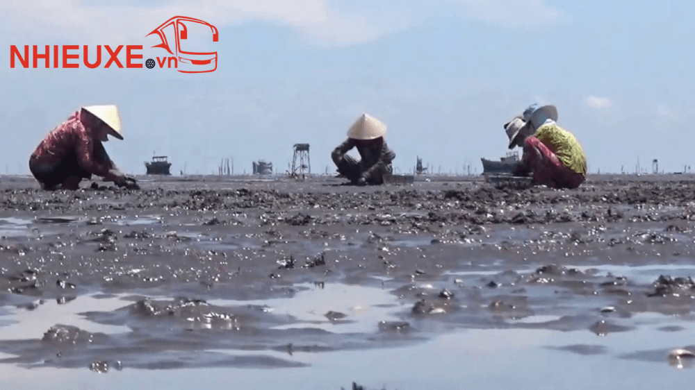 Những điểm du lịch Mỹ Tho Tiền Giang