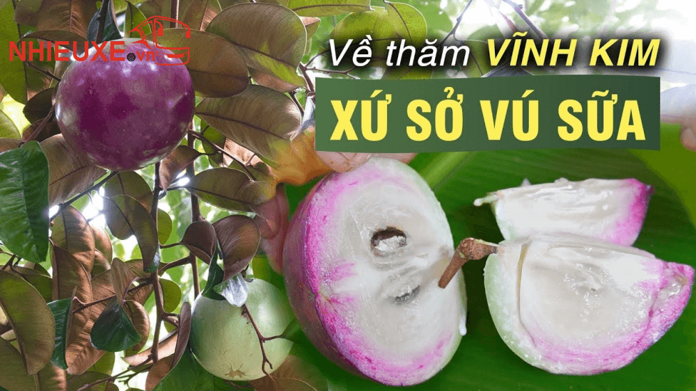 Những điểm du lịch Mỹ Tho Tiền Giang
