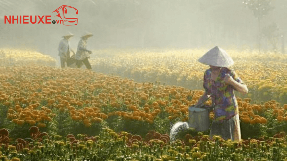 Những điểm du lịch Mỹ Tho Tiền Giang